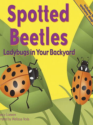 cover image of Spotted Beetles